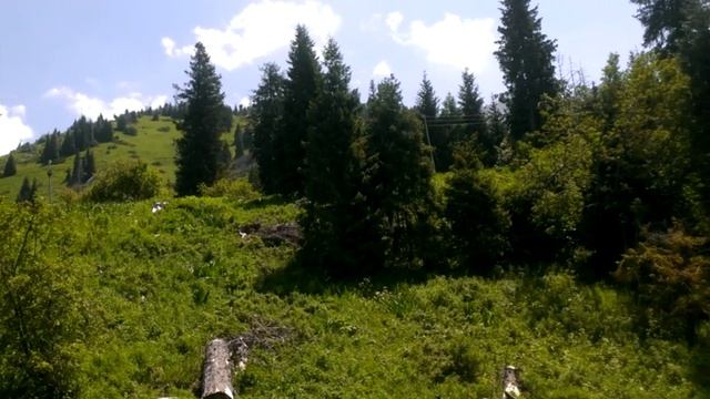VIDEO0026.mp4 смотреть онлайн