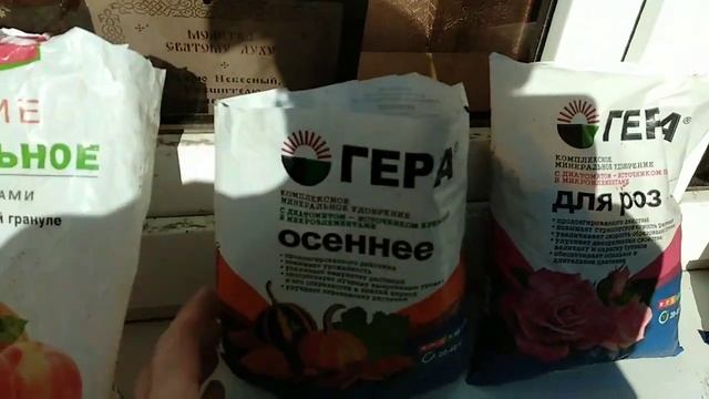 Подготовка роз к зиме. Удобряем розы в ноябре смотреть онлайн