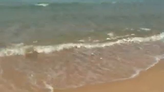 Игорь Шепетило - Грусть и море.AVI смотреть онлайн