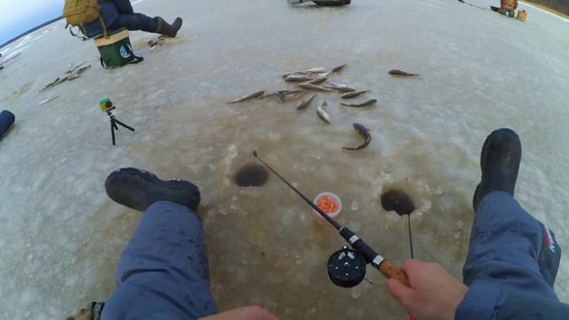 Нашли КОСЯК НАВАГИ/ Понеслась раздача/ Хороший клёв смотреть онлайн