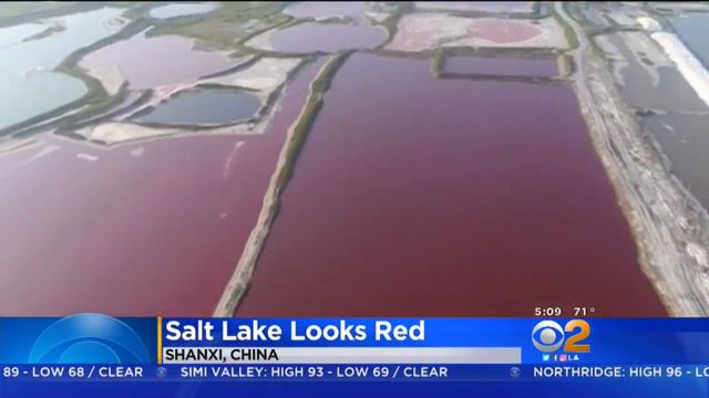 Salt Lake In China Turns Bright Red смотреть онлайн