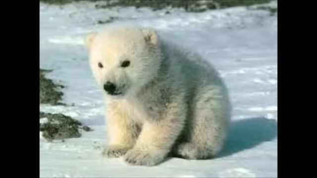 ATM 211 смотреть онлайн