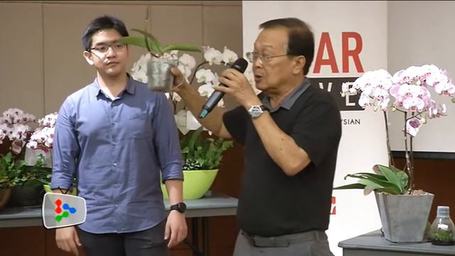 StarLIVE: Cultivating phalaenopsis 4 смотреть онлайн