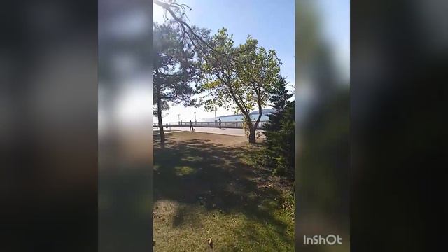 Мото-июль) Первая встреча с Геленджиком. #мотожизнь #мотопутешествие #катаем #геленджик #море #мото смотреть онлайн