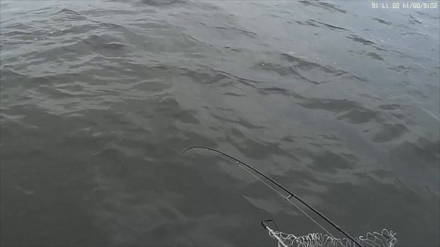 рыбалка на волге щука смотреть онлайн