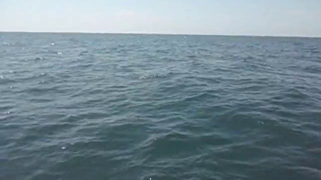 rocky point puerto penasco mexico sailing with dolphins, kayaking,snokeling fun labor day weekend смотреть онлайн