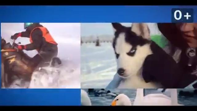 Зимний праздник «Алтайская зимовка» пройдет в Алтайском крае смотреть онлайн