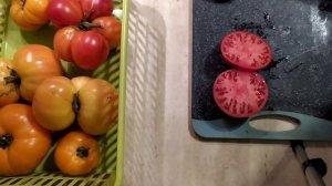 Томат Минусинское Подсинское чудо (дегустация + разрез) 2020