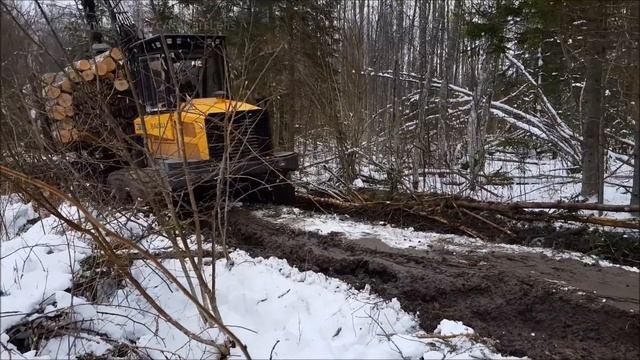 Logging with Metsis 608F in winter forest. смотреть онлайн
