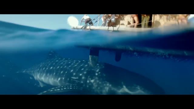 Kon-Tiki Official Movie Trailer [HD]