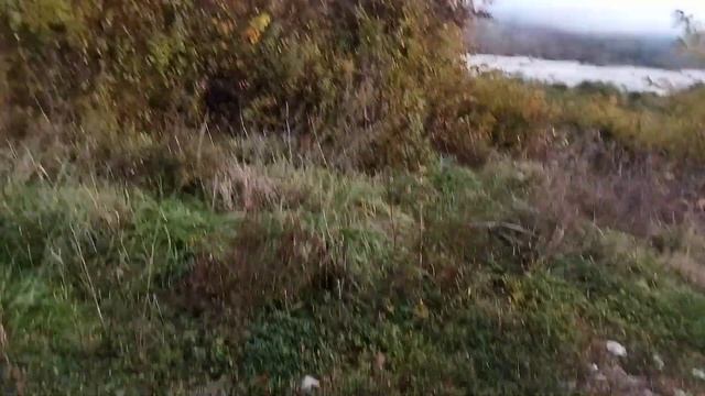 Где найти алюминиевые банки. Нашли телефон. смотреть онлайн