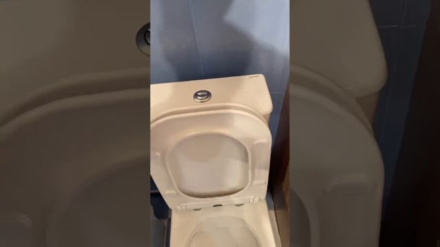 Унитаз напольный Azario FRETTA SQUARE безободковый (AZ-1215A) смотреть онлайн