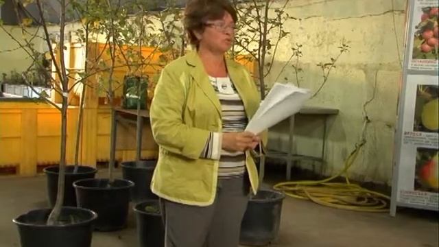 Как выбрать саженцы для Подмосковья и средней полосы смотреть онлайн