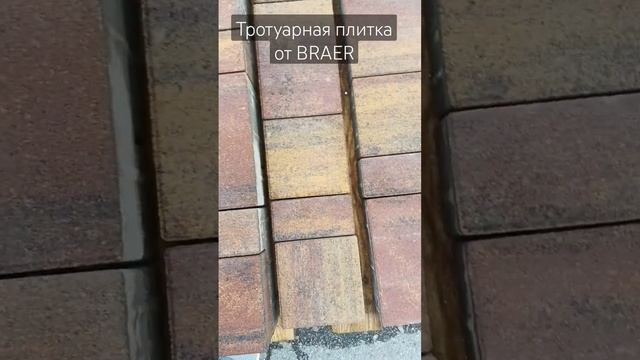Тротуарная плитка в Воронеже #воронеж #стройматериалы #плитка #тротуарнаяплитка #braer #браер смотреть онлайн