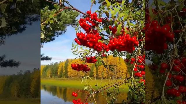 Калины куст смотреть онлайн