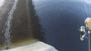 ЛОВЛЯ ОКУНЯ С ЛОДКИ НА ТЕЙЛ-СПИННЕР  . СЕЗОН 2020.