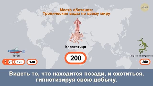 Секреты Творческой Самореализации