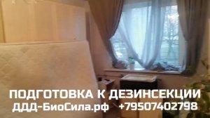 КЛОПЫ как подготовить квартиру к дезинсекции от клопов+7(950)7402798