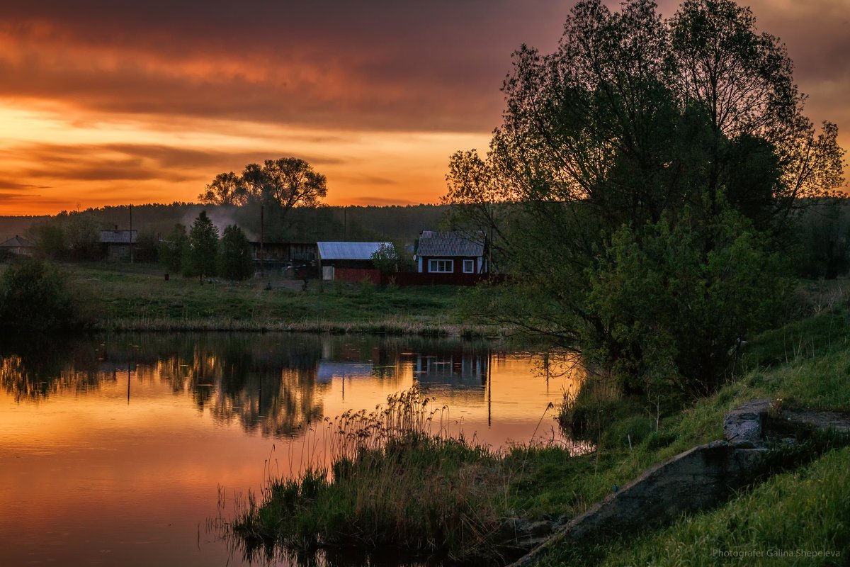 Вот оно, глупое счастье (С. Есенин, Г. Пономаренко) разбор на гармони №-345 с цифрами смотреть онлайн