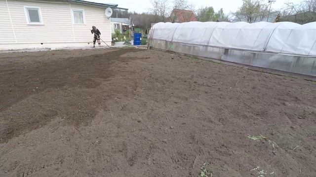 Посадка картошки на даче у родителей. Утренний лес. смотреть онлайн