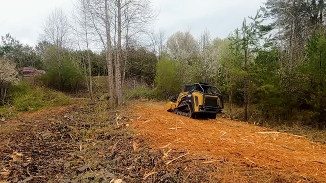 OVERGROWN 3 acre retention pond - Final Day! смотреть онлайн