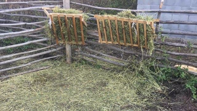 Деревенские будни. Жеребенок стал партизаном. Сломался насос. Накосили травы для всех смотреть онлайн