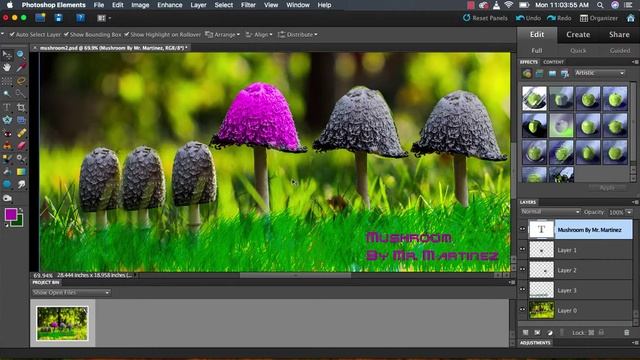 Photoshop Elements: Adding 2 images Together смотреть онлайн