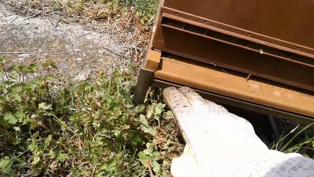 Метод за преместване на кошери на близко разстояние. смотреть онлайн