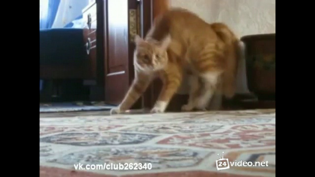 Класно ушел смотреть онлайн