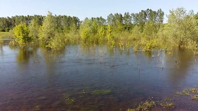 Река Сейм. Конотоп. 10.05.18. смотреть онлайн