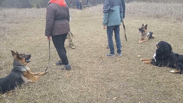 Донецкий ботсад . групповой тренинг смотреть онлайн