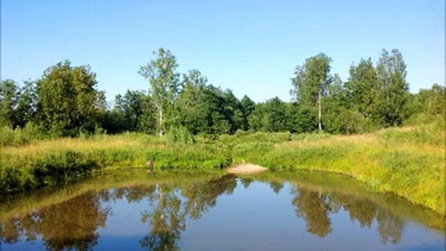 333. Наставление апостола Павла женам и мужьям смотреть онлайн