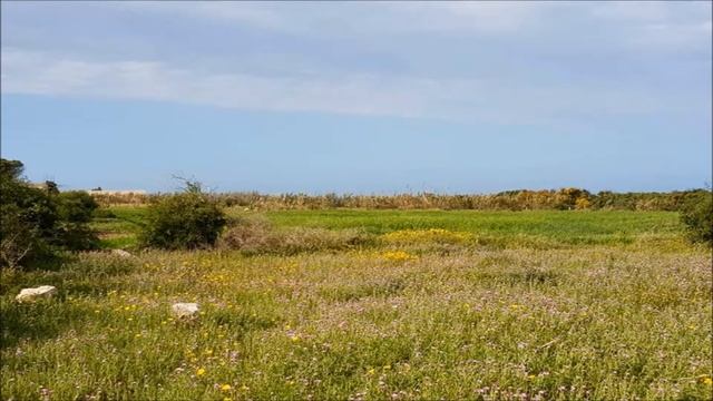 kerkouane 3ala chat bahr el hawa смотреть онлайн