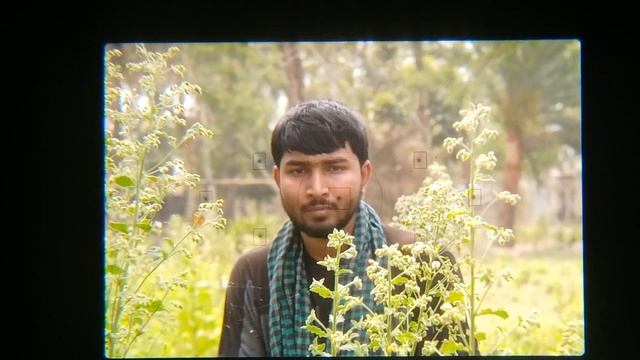 How to control the focus points on a DSLR camera ।| DSLR Focus Points and AF Modes বাংলায় শিখুন | смотреть онлайн