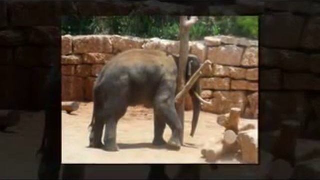 Маленькая дочка смотреть онлайн