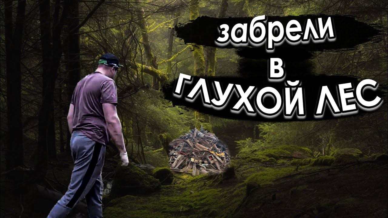 Металлокоп / Забрели в глухой лес смотреть онлайн