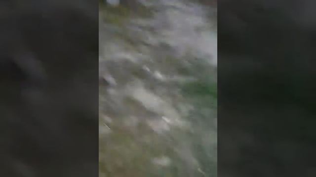 Это Альбертина смотреть онлайн