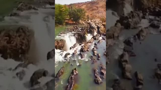 Шейх Мишар Рашид сура-76 Аль- Инсан (Человек) #kuran#zakirnaik #kuran#sunnah#коран