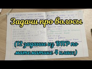 Задачи про волосы (ВПР, логические)