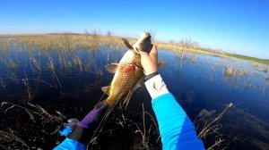 Рогатка для рыбалки НАРЕЗКА лучших выстрелов Самая лучшая рогатка Это рыбалка или охота ЕКЛМН???