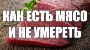 Что такое карнивор и практические советы для начинающих питание животными продуктами