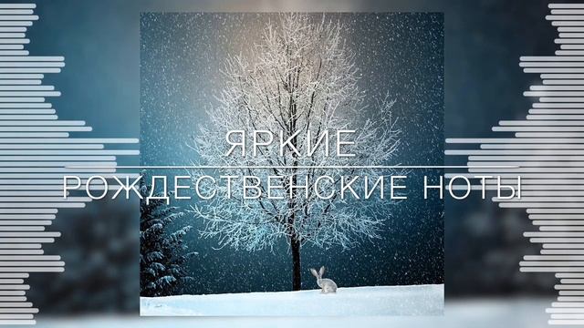 Яркие Рождественские ноты - Бэкки Базан - Рождественска Христианская Песня смотреть онлайн