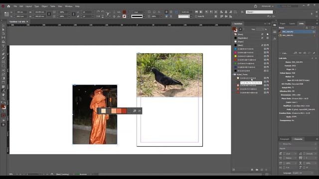 Извлечение цветовой темы в InDesign смотреть онлайн
