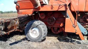 Комбаны НИВА СК 5М  на уборке подсолнечника.