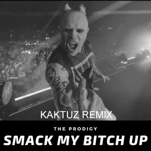 The Prodigy - Smack My Bitch Up (KaktuZ RemiX)