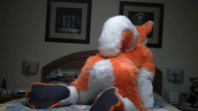 Furry Dance Video