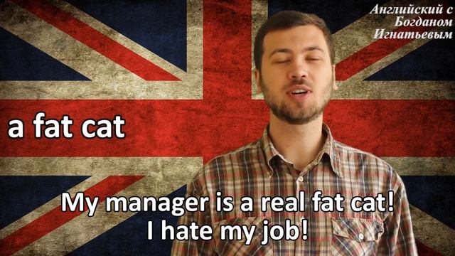 Английская идиома A Fat Cat. Английский язык для начинающих. смотреть онлайн