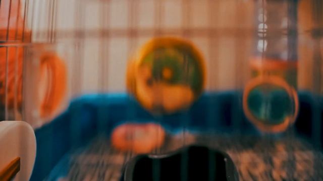 "Quitting the Rat Race" is BS. смотреть онлайн