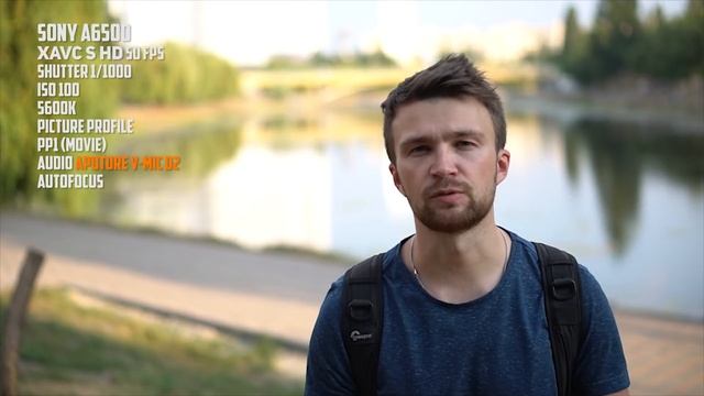Canon 80D Vs. Sony A6500