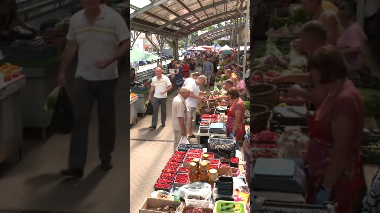 ЯГОДЫ И ГРИБЫ НА ГОМЕЛЬСКОМ РЫНКЕ #лето #новости #грибы #якоды смотреть онлайн